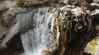 Descenso de barrancos en Guara - Gorgas Negras